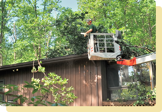 A man in the back of a cherry picker.