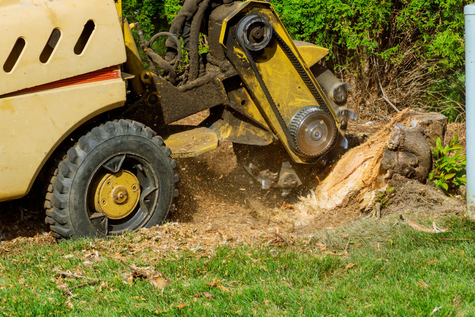 A yellow and black tractor is cutting the ground