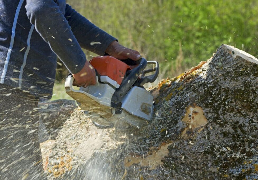 A person cutting wood with an electric saw.